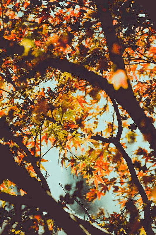 Prep Your Plumbing For Fall