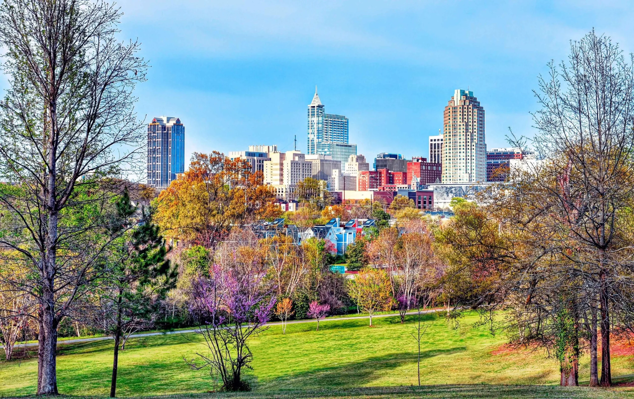 image of downtown Raleigh skyline from a park